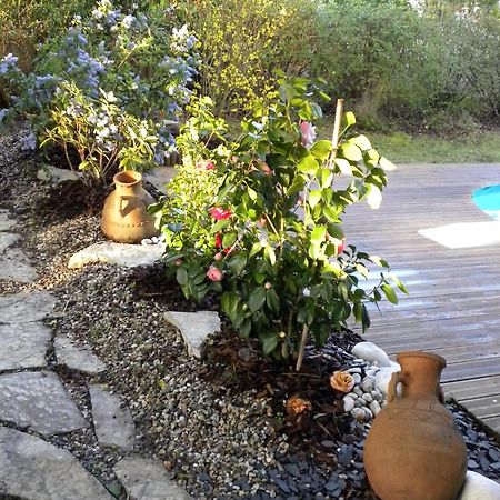 Villa Mogador Piscine Et Balneo 安德诺莱斯贝恩 外观 照片