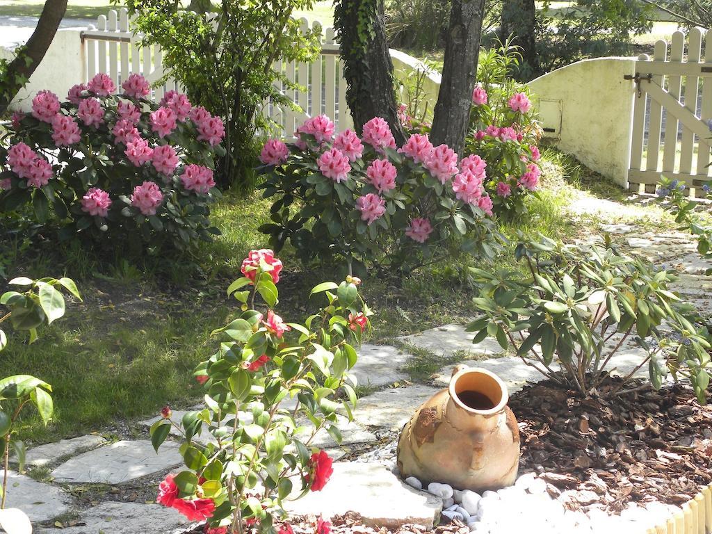 Villa Mogador Piscine Et Balneo 安德诺莱斯贝恩 外观 照片