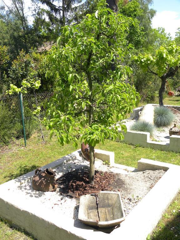 Villa Mogador Piscine Et Balneo 安德诺莱斯贝恩 外观 照片