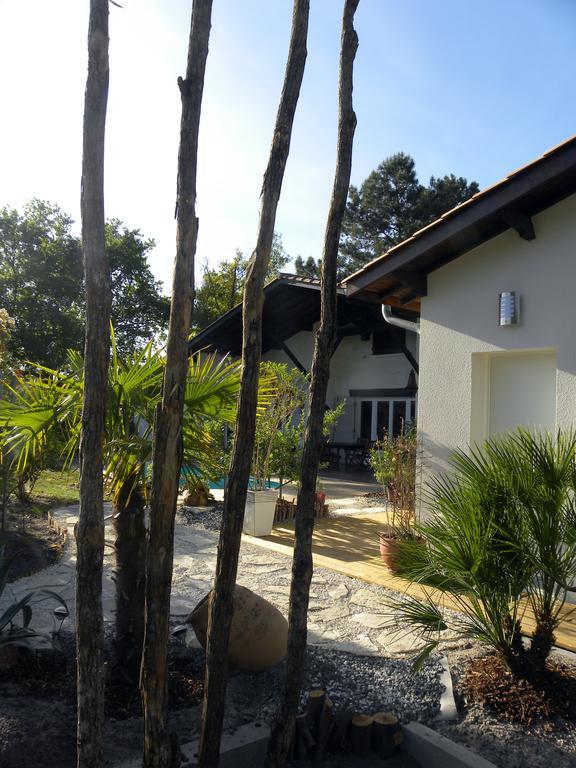 Villa Mogador Piscine Et Balneo 安德诺莱斯贝恩 外观 照片